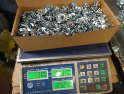 Зауыттық көрініс