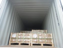 Зауыттық көрініс