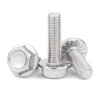 SS фланецті болт